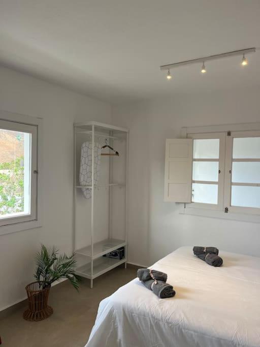 Apartament Casa Plaza 2 Vega de Rio de Palmas Zewnętrze zdjęcie